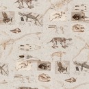 Realm of the Dinosaur Col. 108